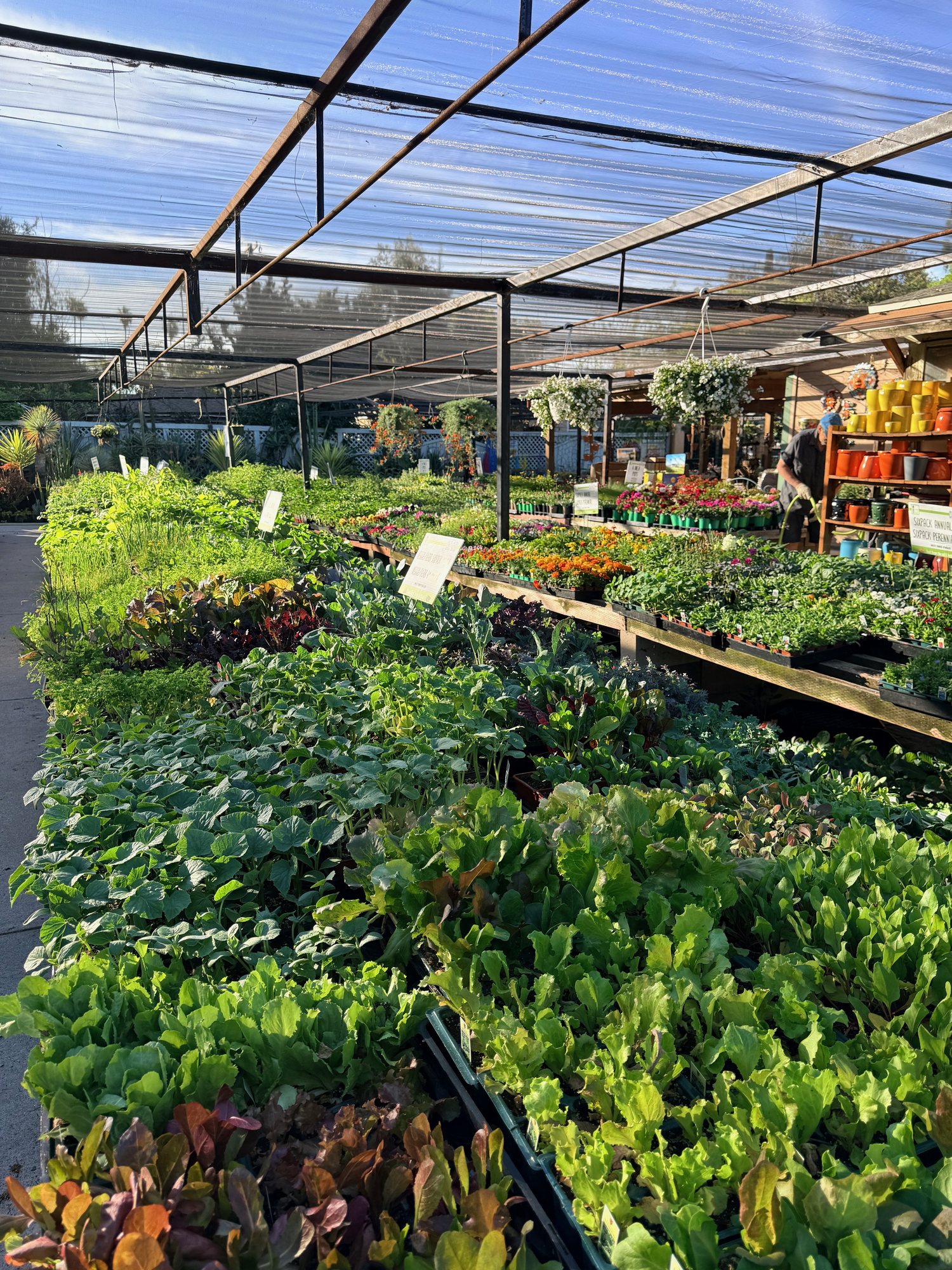 Vegetables & Herbs at Lincoln Avenue Nursery