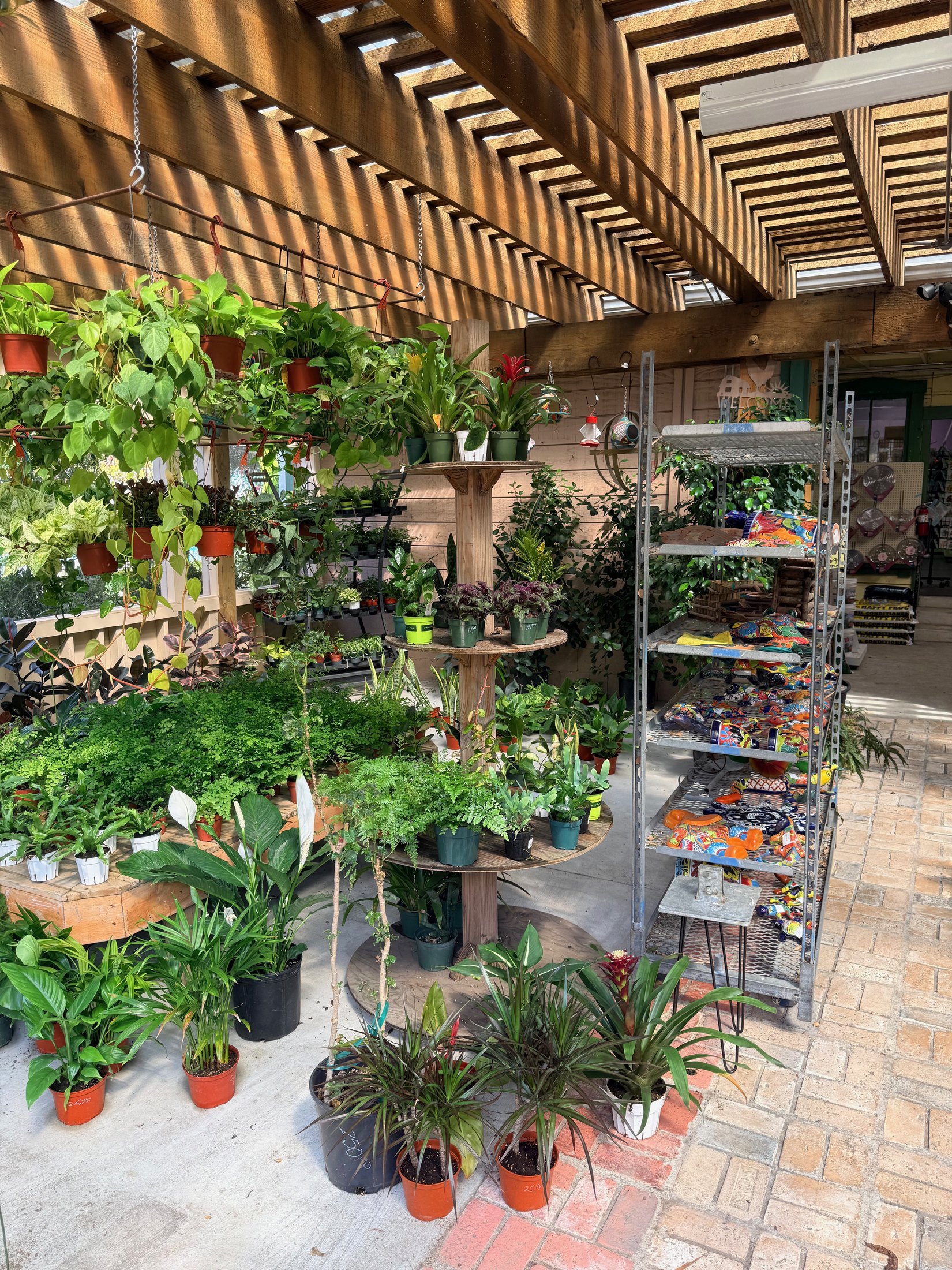 Indoor plants in the Lincoln Avenue Nursery greenhouse