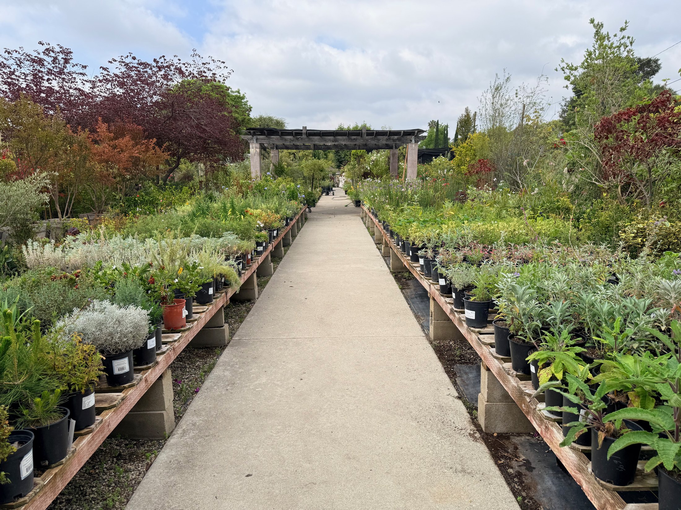 Lincoln Avenue Nursery in Pasadena, California