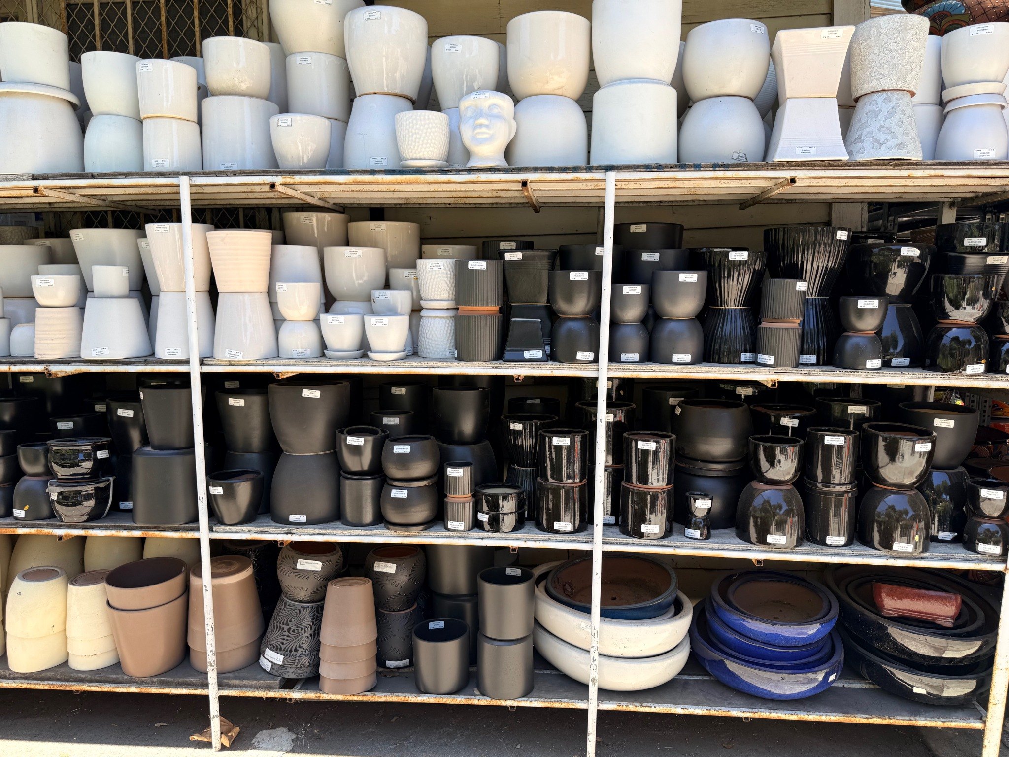 Shelves of modern neutral pots and planters at Lincoln Avenue Nursery