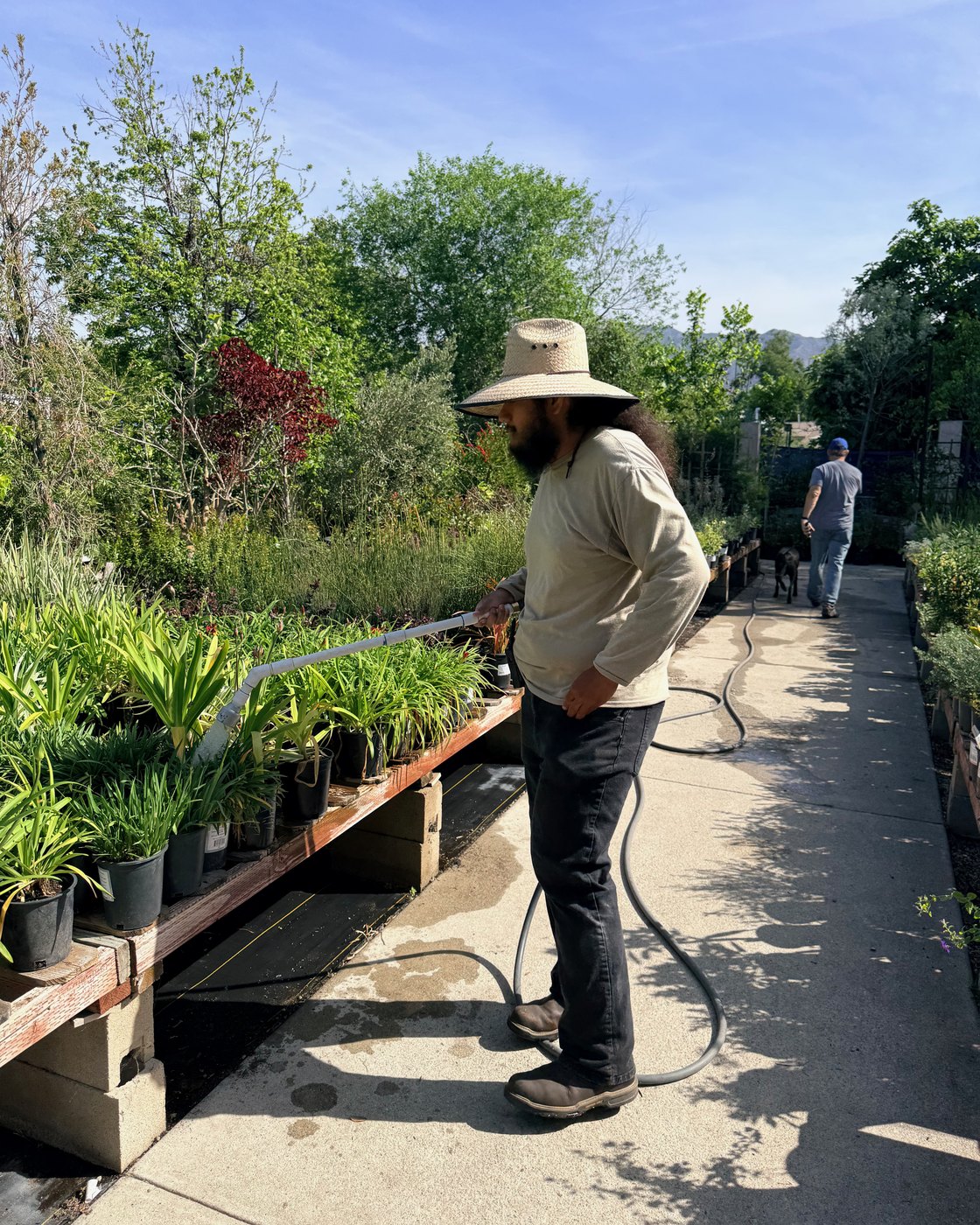 Brian Suarez at Lincoln Avenue Nursery