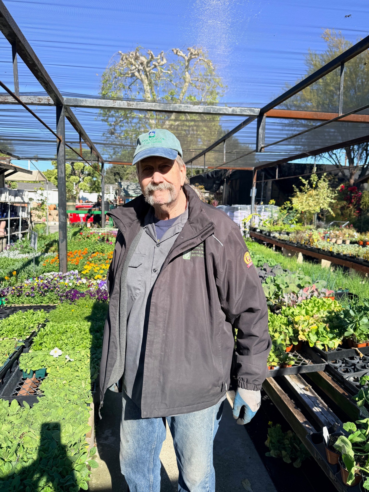 Chris Livingston at Lincoln Avenue Nursery