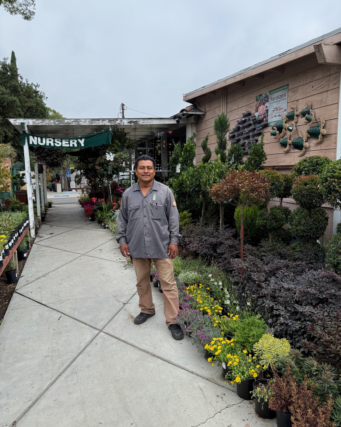 Gerardo Tolentino at Lincoln Avenue Nursery